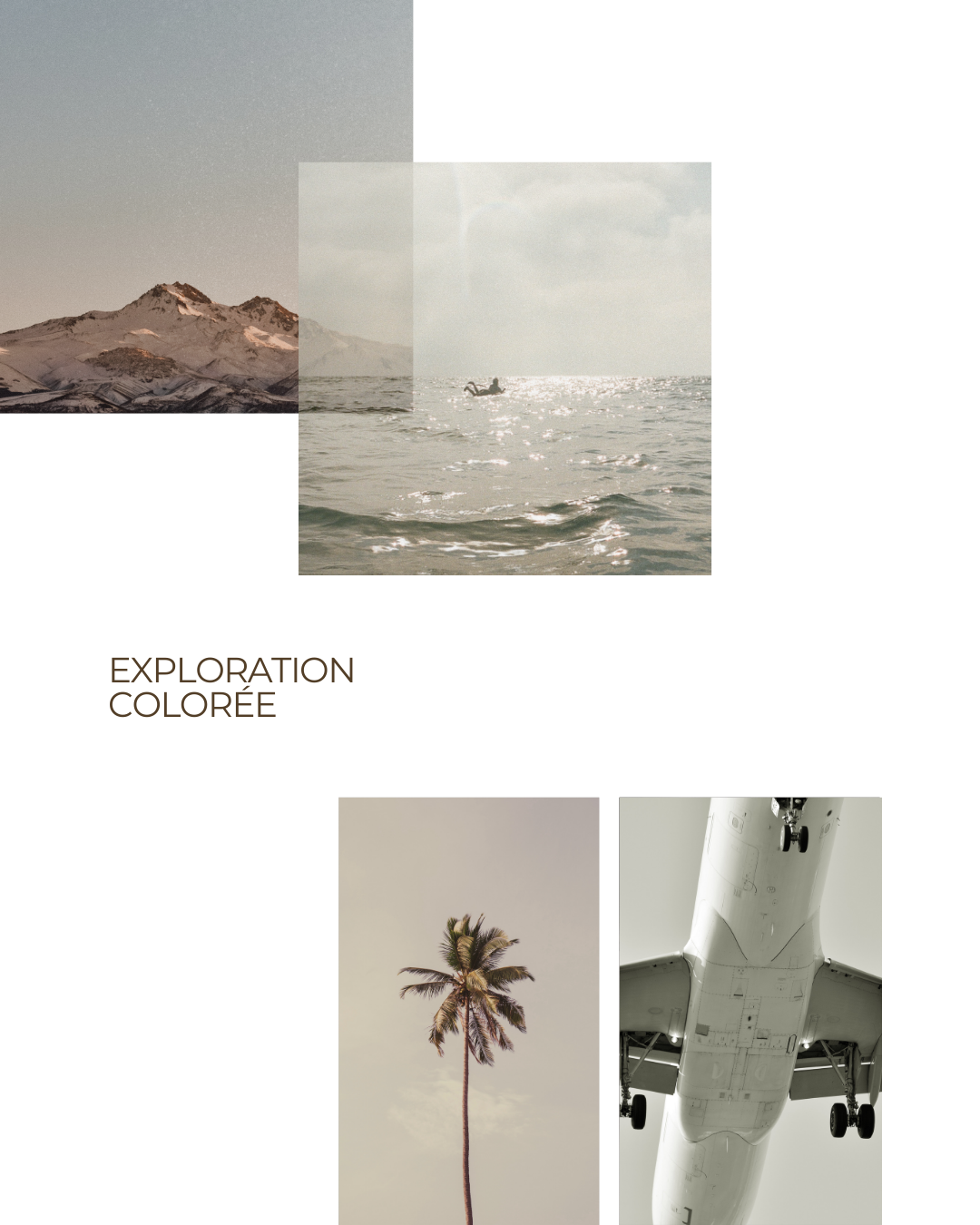 FEED INSTAGRAM - Agence Tacom Digitale